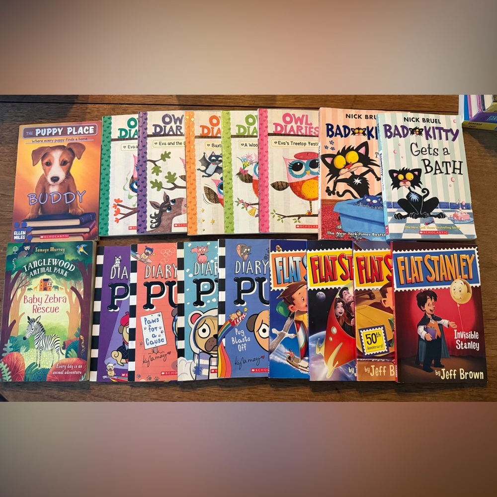 Children's Book Collection • Great Elementary School variety